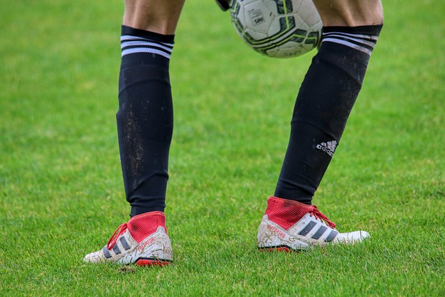 佩德里远射 佩德里远射