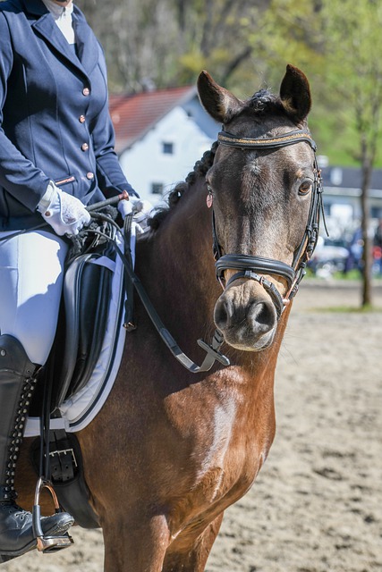 场上叱咤风 场上叱咤风