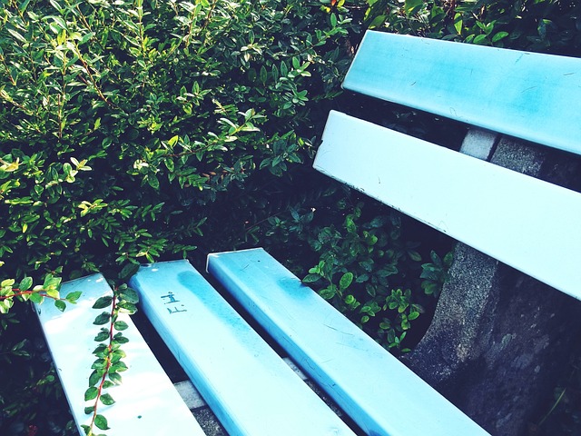 在竞技的长 在竞技的长