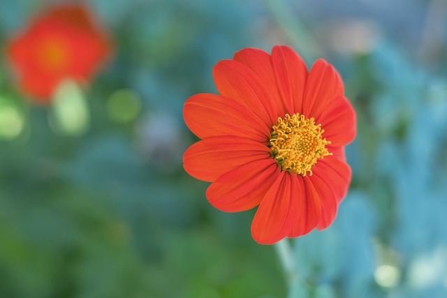 体验滑翔 体验滑翔